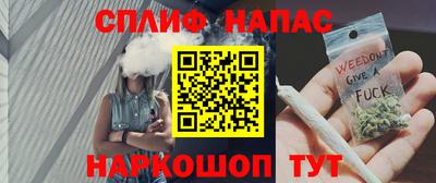 СК Будённовск