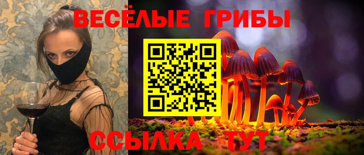 Псилоцибиновые грибы Psilocybe  Вход с VPN  Псилоцибиновые грибы ЛСД  Мичуринск 